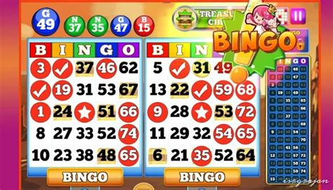 andhra pradesh bingo